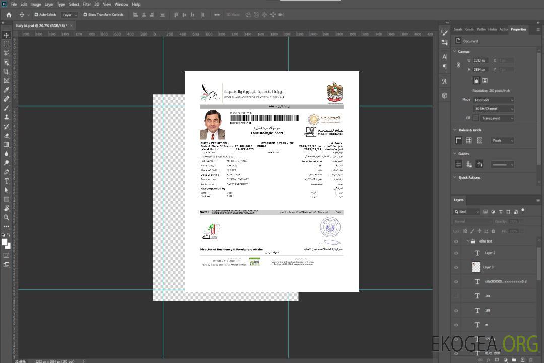 Modèle de visa électronique des Émirats arabes unis aux formats Word et PDF, version 7 template
